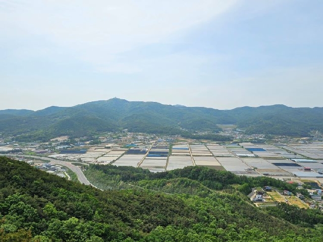 봉천산 전경 및 봉천대 대표 이미지